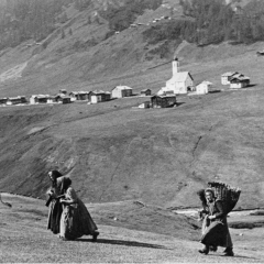 CONTADINE CON BESTIAME