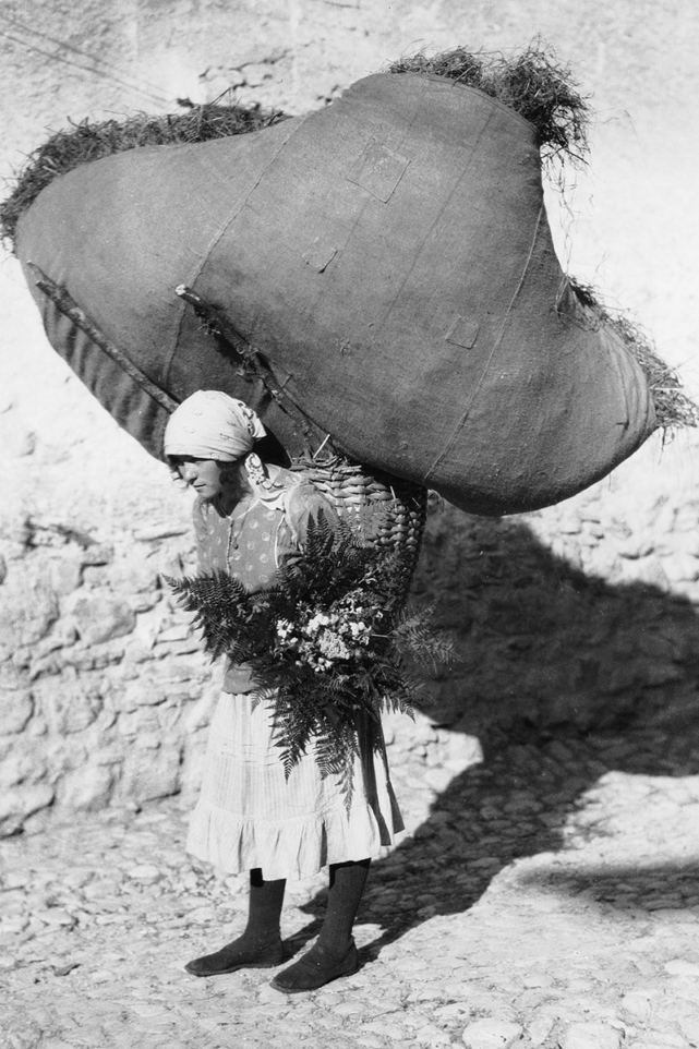 DT_30X45_MCC-F-000721-0000